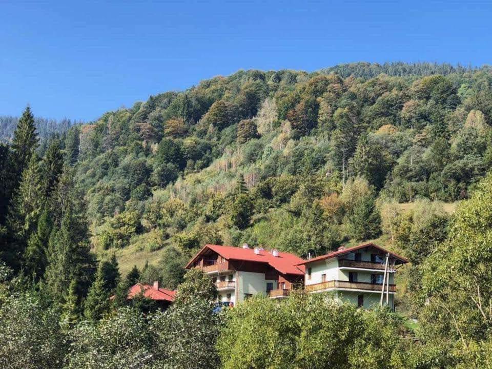 Hotel Лісова Казка Slawske Exterior foto